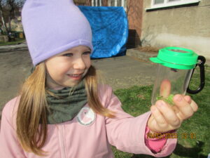 Obrázek pro příspěvek Broučci pod drobnohledem (Berušky-Větrná)